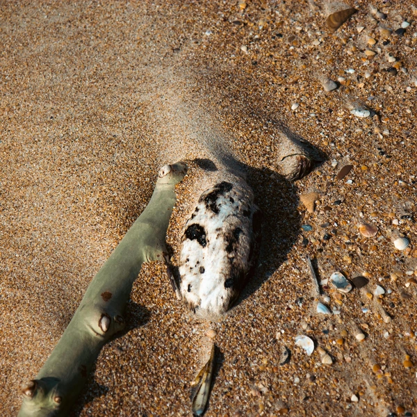 Источник: Владислав Крамской / пресс-служба ГУ МЧС России по Краснодарскому краю