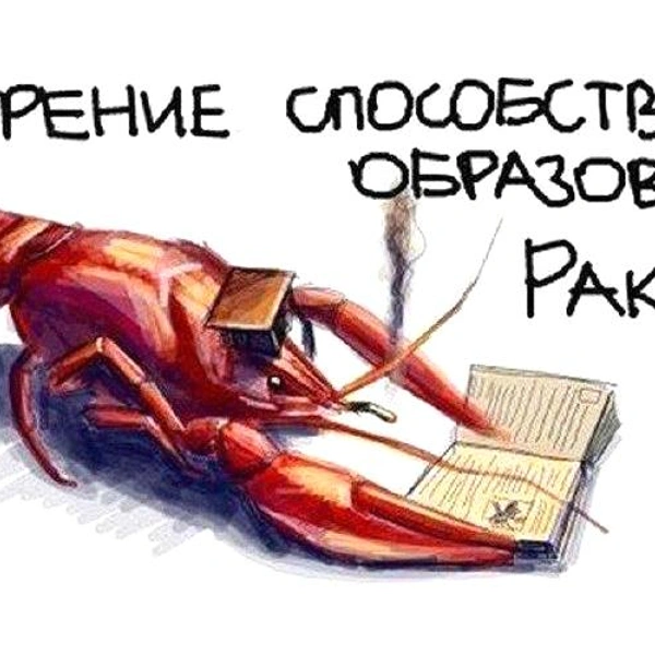 Источник: соцсети