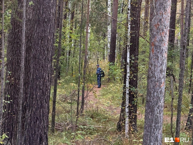 Сотни полицейских прочесывают леса рядом с садами | Источник: Дарья Костомина / E1.RU