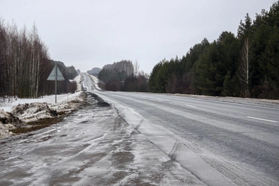 Deputy Minister of Nizhny Novgorod Forestry Ministry in Car Accident