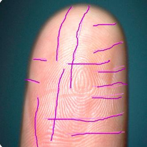 [тест] Что отпечатки пальцев расскажут о твоем характере?