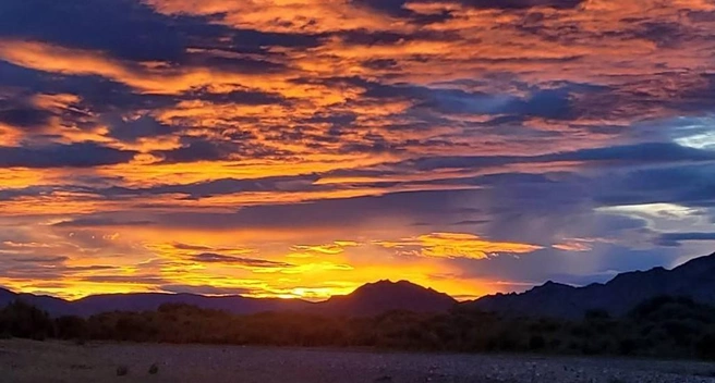 На таможне туриста ждал тщательный досмотр | Источник: Алексей Котельников