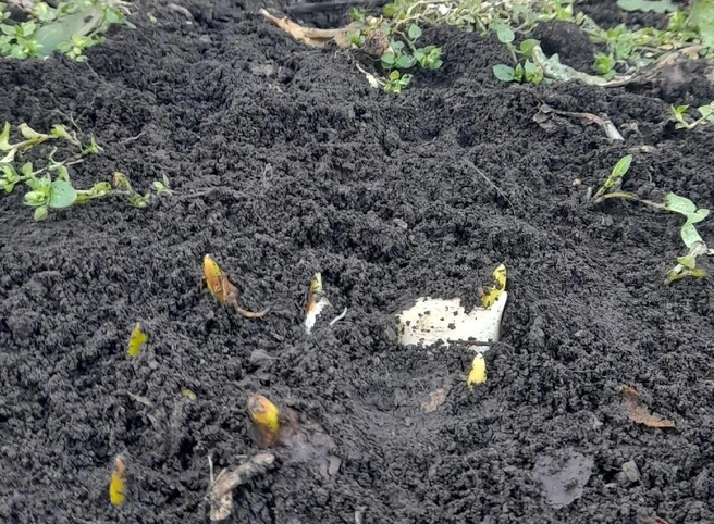 И уж никак не в декабре | Источник: читатель MGORSK.RU