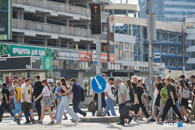 В 2025 году в Новосибирске светофоры поставили на 27 пешеходных переходах | Источник: Александр Ощепков / NGS.RU