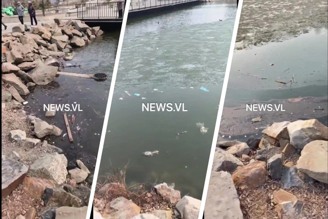 Источник: Newsvlc / T.me