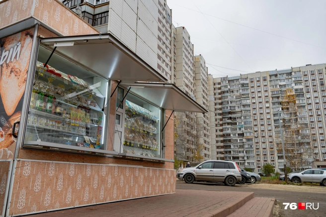 Ларек с хлебом идеально вписывается в окружение | Источник: Кирилл Поверинов / 76.RU