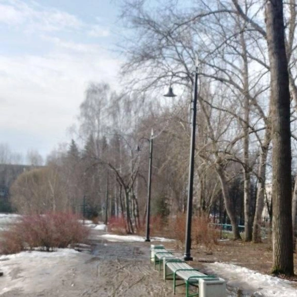 Так парк выглядит сейчас | Источник: Дендропарк ЕКБ