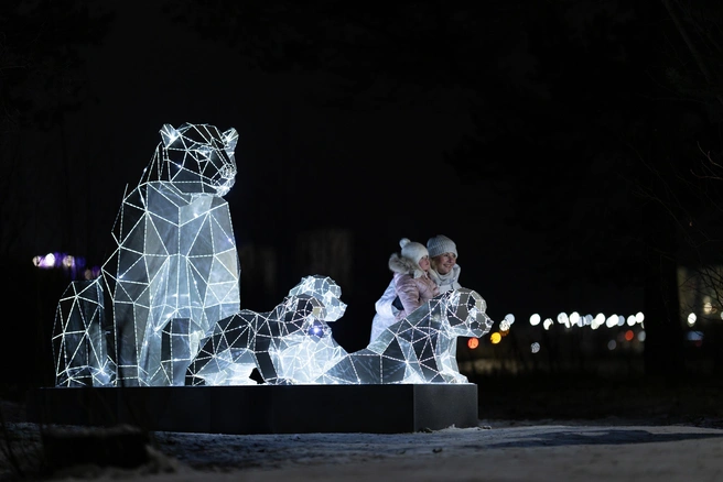 В этом году в Сургуте установили новые световые фигуры | Источник: Рамиль Нуриев / Vk.com