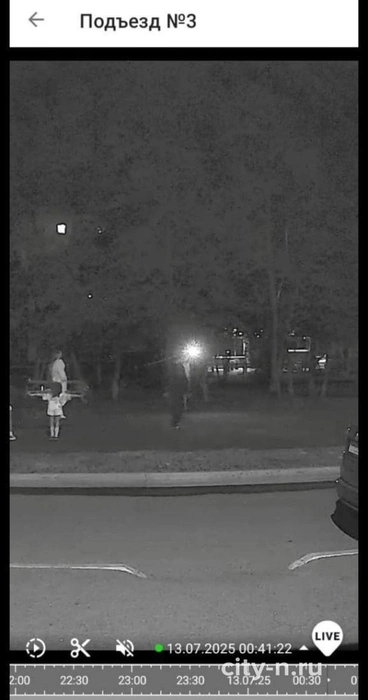 Жители считают необходимым привлечь нарушительницу к ответственности | Источник: www.city-n.ru