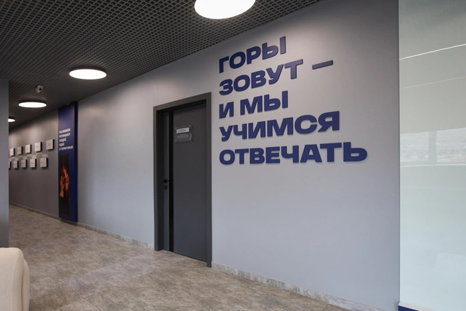 Источник: Елена Татарникова