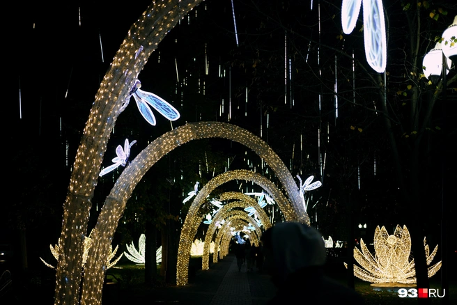 Волшебные стрекозы встречают гостей от пересечения с улицей Северной | Источник: Дарья Паращенко / 93.RU