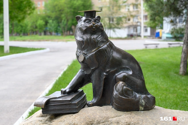 Знаем мы одного кота, который не ответил бы даже на один вопрос нашего теста. Но вы же не кот! | Источник: Евгений Вдовин / 161.RU