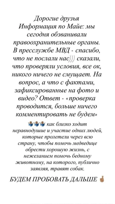 Источник: Парк львов «Земля Прайда» / Telegram-канал