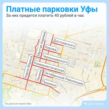 Это база | Источник: Городские медиа