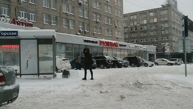 Стоянка на тротуаре | Источник: читатель НГС