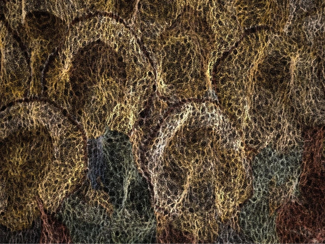 Module S. Данил Карамушкин. | marieclaire.ru