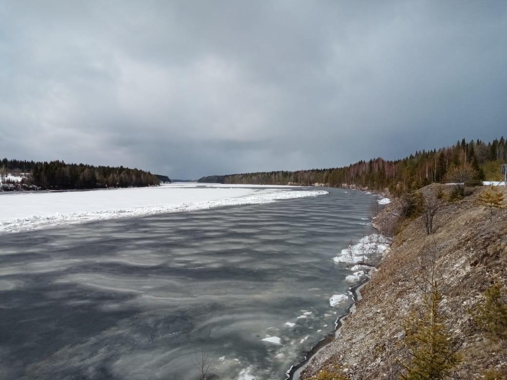 На реках Архангельской области резко повысились уровни воды — данные на 8  мая 2020 года - 8 мая 2020 - 29.ру