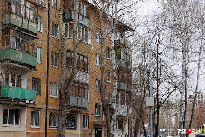 В межсезонье из окон открывается вот такой вид. Еще немного, и деревья зазеленеют&nbsp;— станет очень красиво | Источник: Ирина Шарова / 72.RU