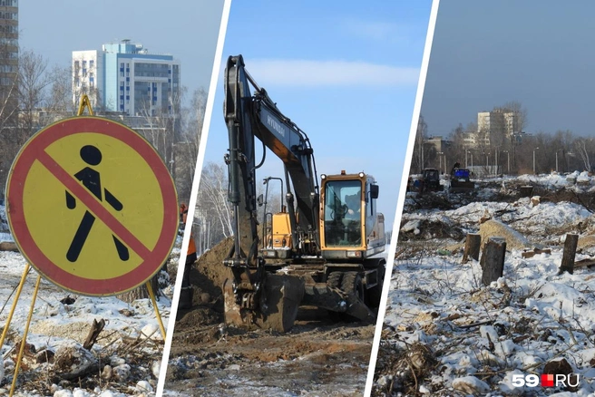 Для подготовки стройплощадки на месте будущей дороги вырубают деревья | Источник: Кирилл Хафизов / 59.RU