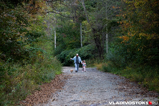 На Кубань идут дожди | Источник: Елена Буйвол / VLADIVOSTOK1.RU