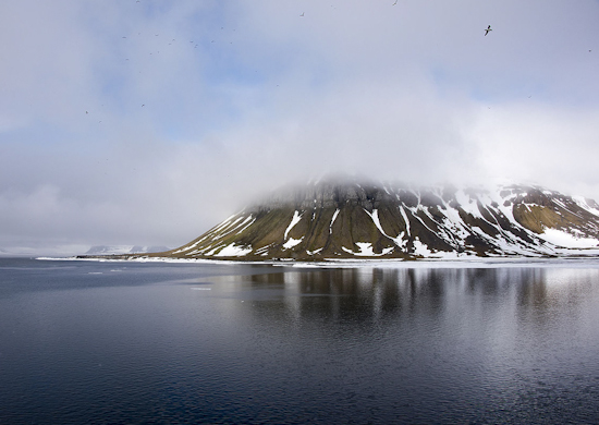 В Арктике открыли пять новых островов