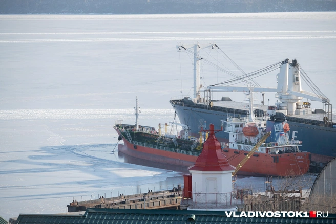 Следком проводит проверку  | Источник: Елена Буйвол / VLADIVOSTOK1.RU