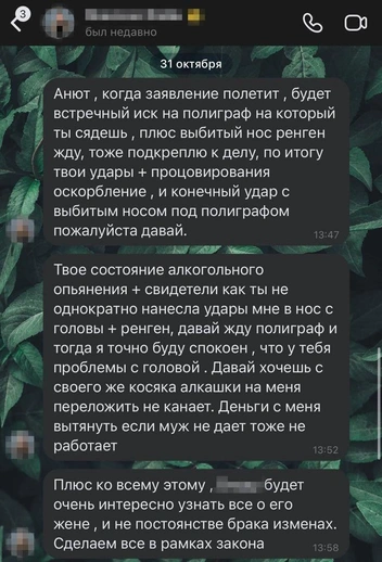 Сообщения, по версии Анны, поступали от аккаунта Максима | Источник: Анна Сытникова