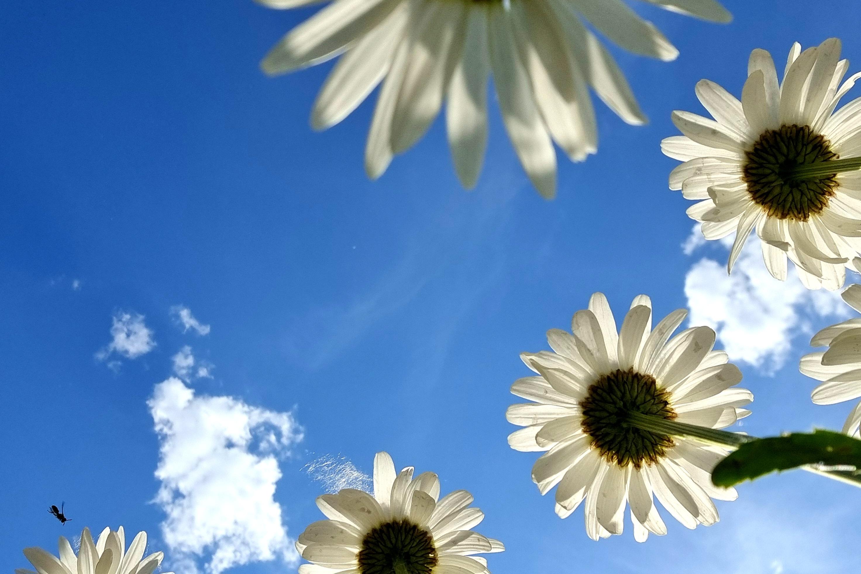 Почувствуй себя муравьем: 20 потрясающих снимков весенней Самары с необычного ракурса