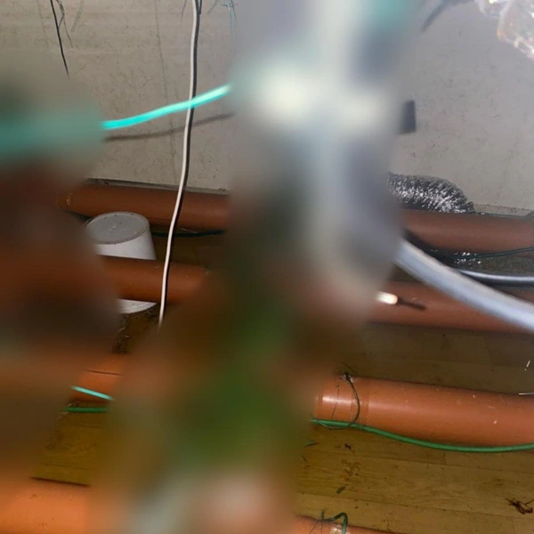 Источник: Официальный телеграмм-канал ГУ МВД России по Санкт-Петербургу и Ленинградской области