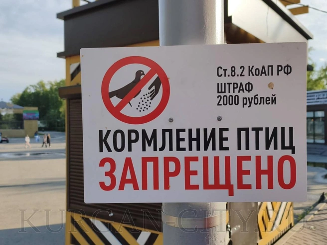 Источник: Пресс-служба городской администрации