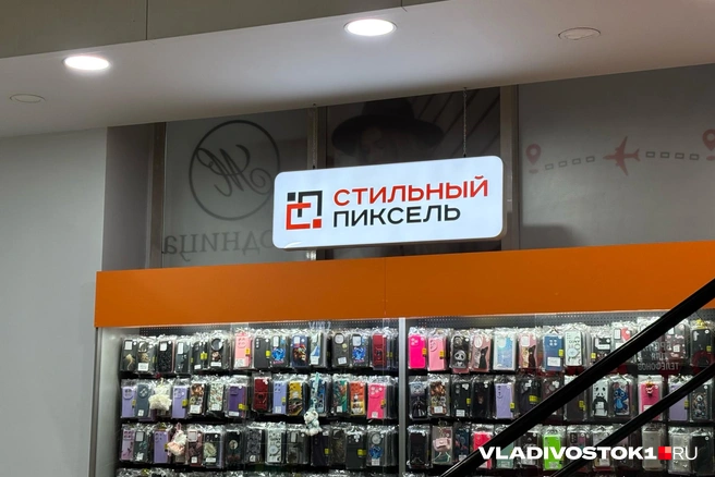 Источник: Елена Буйвол / VLADIVOSTOK1.RU