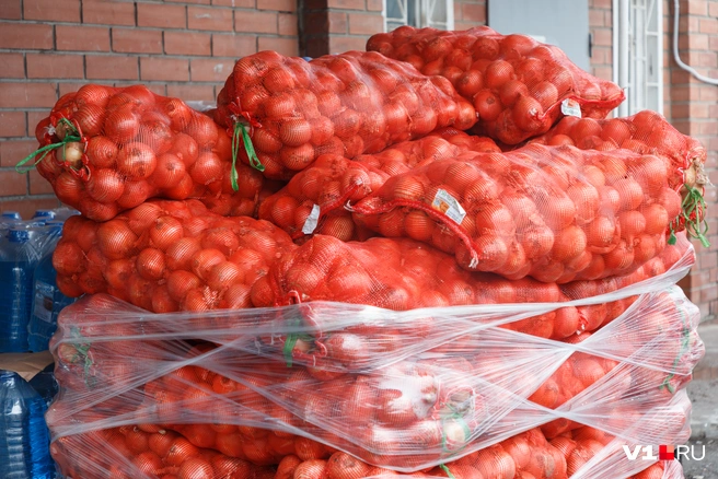 Фермеры предупреждают: урожай лука может быть чрезвычайно низким | Источник: Алексей Волхонский / V1.RU