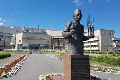 Врачи центра Илизарова спасли девушку с травмой ныряльщика