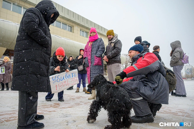 Собаке на митинге не очень понравилось | Источник: Олег Фёдоров / CHITA.RU