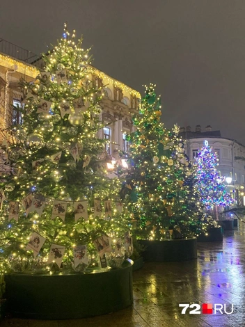 Источник: 72.RU