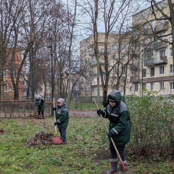 Источник: Комитет по благоустройству СПб