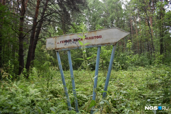 По пути до сих пор встречаются старые указатели | Источник: Рихарда Лем / NGS.RU