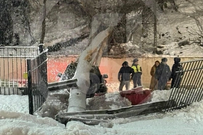 В Сочи дерево упало на машину: водитель чудом выжил