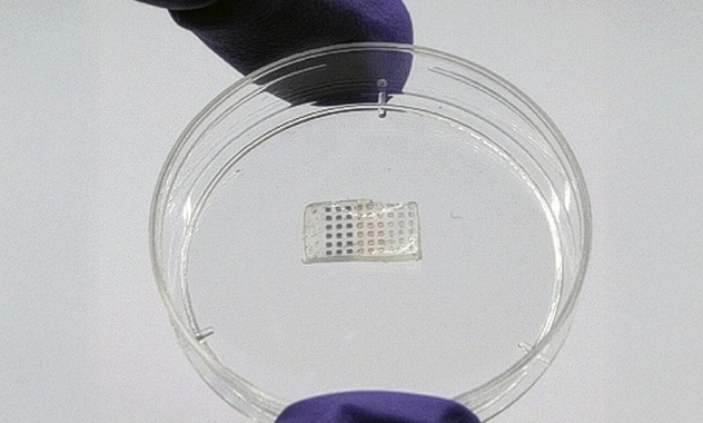 Ученые создали пластырь для сердца, который помогает восстановиться после тяжелого инфаркта