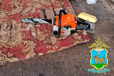 Псковича подозревают в незаконной вырубке леса на 850 тысяч