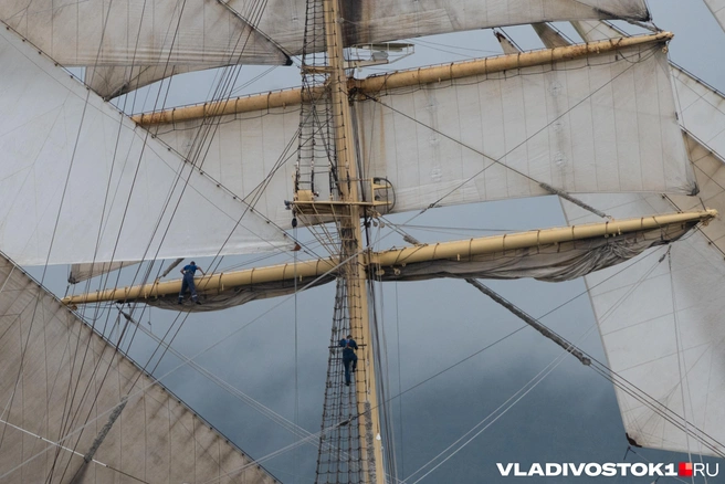Источник: Елена Буйвол / VLADIVOSTOK1.RU