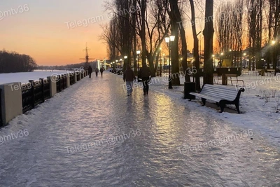 Прокуратура возбуждает дела из-за гололёда в Воронеже