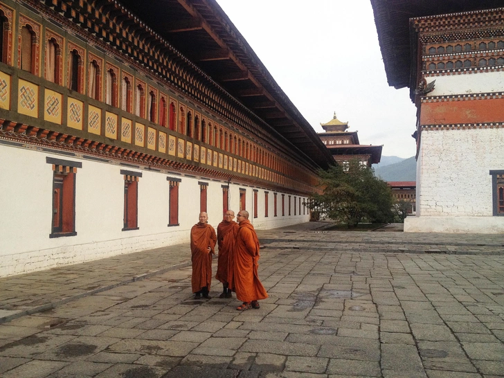 Источник: JordiStock/Shutterstock/Fotodom.ru