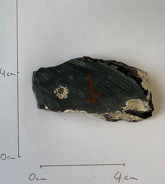 «Окаменелость», извлеченная из керна, полученного при бурении на Шацком поднятии | Источник: Oskar Schramm