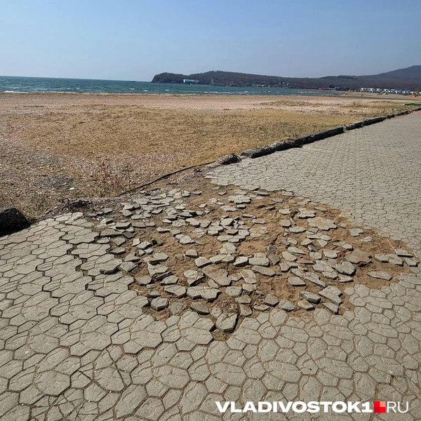 Источник: Елена Буйвол / VLADIVOSTOK1.RU