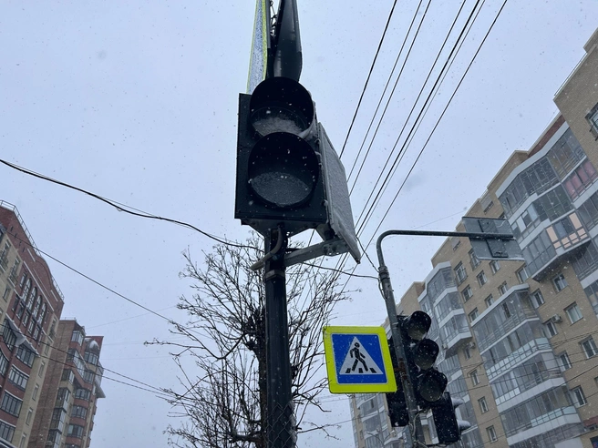 Источник: Кристина Полевая / 29.RU
