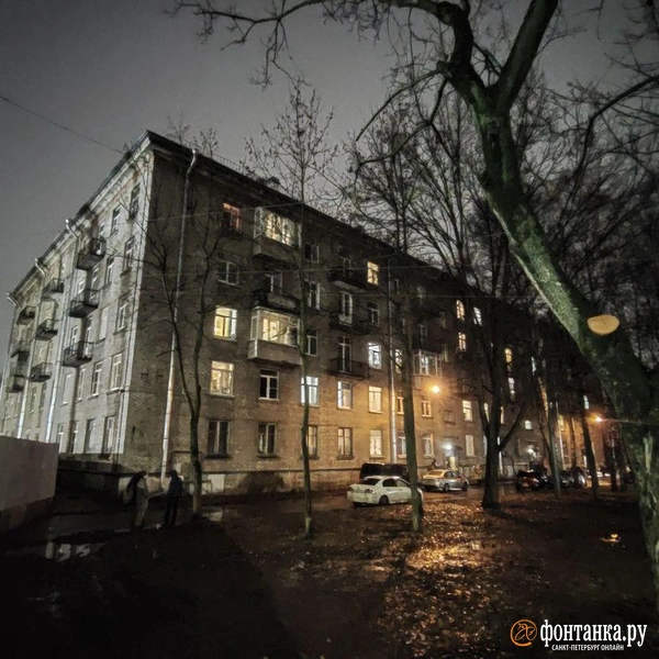 Источник: Михаил Огнев / «Фонтанка.ру»