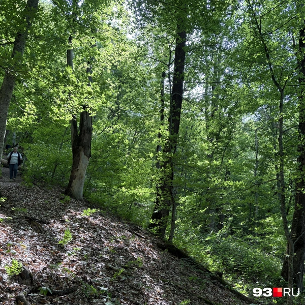 Упасть здесь очень страшно | Источник: Екатерина Подымова / 93.RU