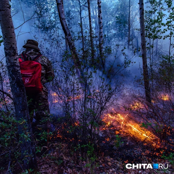 Источник: Олег Федоров / CHITA.RU