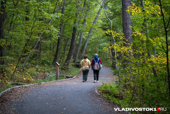 Источник: Елена Буйвол / VLADIVOSTOK1.RU
